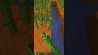 Best Way to Plant Sugarcane