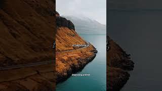 Love is an untamed force #annhien #shortsvideo #short #shorts #dailyfacts #dongluc #truyềncảmhứng