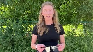 Sarah's Top 3 Bliz Sunglasses for Training and Racing