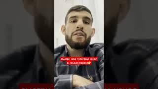 Перс назвал Шовхала не мужчиной #перс #шовхал #персидскийдагестанец #шовхалчурчаев #popmma #попмма