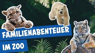 Hoffnung auf baldigen Nachwuchs | Panda, Gorilla und Co.