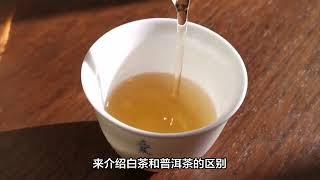 白茶和普洱茶的口感区别