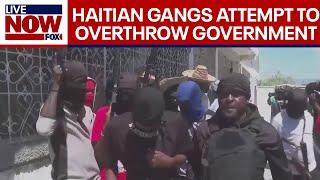 Haiti Crisis: Gang violence rises in Haiti amid jailbreak | LiveNOW from FOX