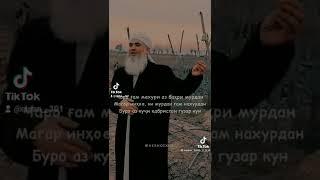 Мавлави Бохтари
