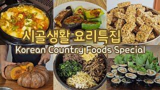 sub)Korean Country Foods Special: From Bulgogi to Kimchi, using what we harvest, ricecake, bibimbab
