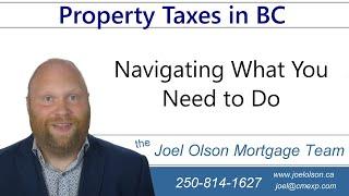 Your Property Tax Bill - What To Do - the Joel Olson Mortgage Team