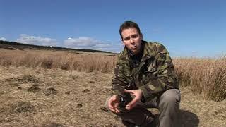 Rob Weaver wildlife - black grouse