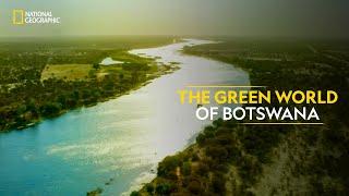 The Green World of Botswana | Africa's Deadliest | Full Episode | S07-E01 | हिंदी | #NatGeoIndia