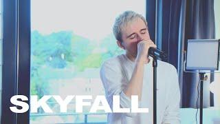 Adele - Skyfall (cover)