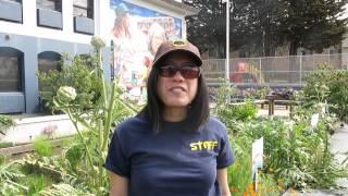 Melissa Tang, BEETS Program Manager