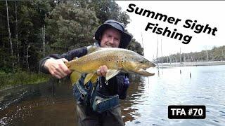 Summer Sight Fishing | Tasmanian Brown Trout | TFA #70