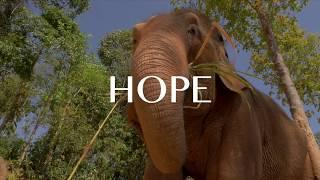 Trailer to the upcoming documentary HOPE - Big Change Starts Small - German Subtitles