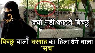 Bichoo Wali Dargah Amroha Miracle Story and history in hindi बिच्छू वाली दरगाह का अनोखा रहस्य