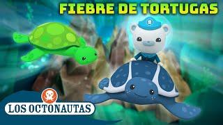 Los Octonautas -  Fiebre de tortugas  | Episodios Completos | Compilado