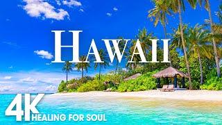 HAWAII NATURE in 4K UHD Drone Film + Relaxing Piano Music for Stress Relief, Sleep, Spa, Yoga, Cafe