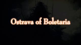 Demon's Souls Dialogue - Ostrava of Boletaria