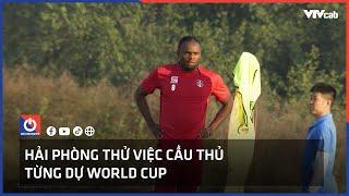 Hải Phòng thử việc cầu thủ từng dự World Cup