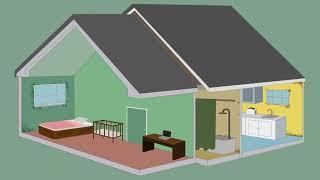 1. When Mold in the Home Is a Problem (English)