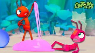 The Ants Are In BUBBLE GUM TROUBLE | Antiks  | Action Cartoons For Kids
