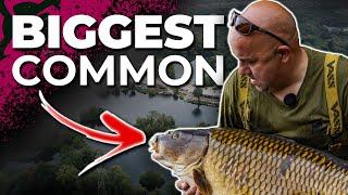 FARLOWS LAKE CARP FISHING- IN SESSION- LEON BARTROPP 