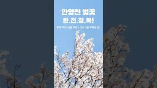 25.4.9현지인 무료주차 쿨팁