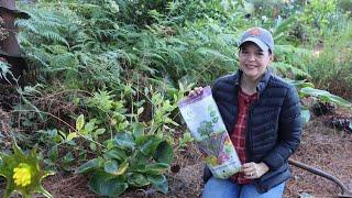 Saving Your Plants from Voles | Gardening with Creekside