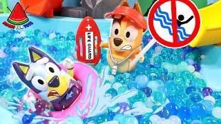 Bluey The Pool Adventure | The Best Pool Safety Rules for Kids and Toddlers