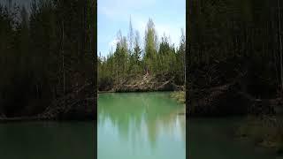 #nature #природа #lake #озеро #forest #лес #renda #ренда #latvia #latvija #латвия #lettland