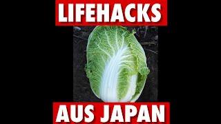 Spitzkohl / Chinakohl / Kopfsalat u. ä. länger halten - Lifehack aus Japan #shorts