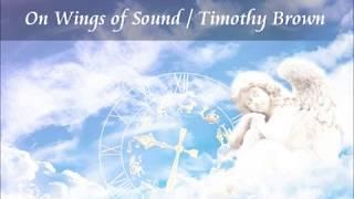 On Wings of Sound / Timothy Brown