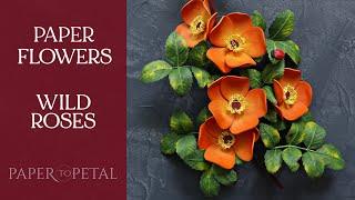 Paper Art: Wild Roses - Making Paper Quilling Flowers - Relaxing Art