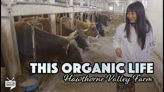 This Organic Life: Hawthorne Valley Farm TRAILER