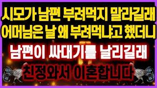 [역대급 사이다 사연] 시댁에서 시모가 남편 부려먹지 말라길래 어머님은 날 왜 부려먹냐고 했더니 남편이 싸대기를 날리길래 친정와서 이혼합니다 사연모음 실화사연