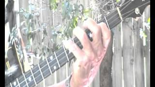 Steel Guitar Rag      ( Lesson by Don Lewers )