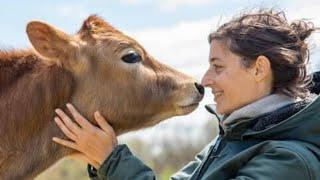 Calling All Animal Lovers: Join Us for a Tour of Lancaster Farm Sanctuary