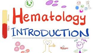 Hematology - Introduction - Hematopoiesis: Let's Make RBCs, WBCs, and Platelets -Hematology Playlist