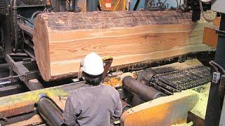 Extreme Biggest Wood Sawmill Machine Working, Fast Chainsaw Wood Cutting Machine Modern