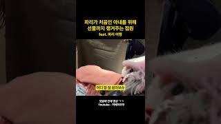 여행 중 기분이 좋아지는 순간 #유럽여행 #파리 #아크네스튜디오