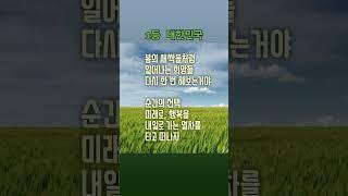 2025 우리의 선택ㅣ다시 민주주의...사전투표 29~30일