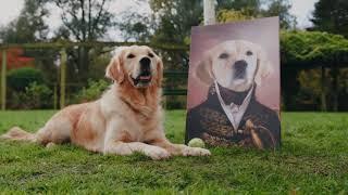 Royal Pet Portraits