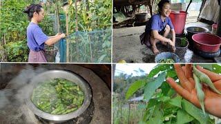 My Mother's Vegetable Garden 🫛 #villagelife #organicvegetables #arunachalpradesh #tribalhouse