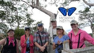 Morpho Institute Happy Birthday to Dr.  E.O.  Wilson