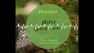 Willkommen auf meinem neuen Podcast - Naturspiritualität - Altes Wissen