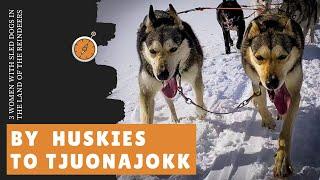 Three woman with sled dogs in Sápmi land