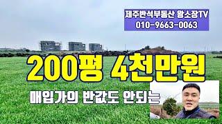 매입가의 반값도 안되는 수준 / 200평 4천만원 / 한경면 고산리