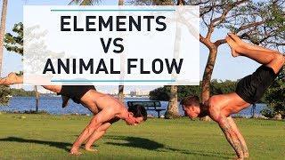 GMB vs Animal Flow - Which is better? (with Mike Fitch & Ryan Hurst)