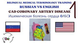 1 Russian English: What is coronary artery disease (CAD)? Bilingual Medical Terminology Training