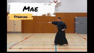 iaido: znkr 1st kata. Mae(variant for people with leg problems)