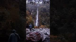 Standing in the gentle rain, There's a quiet peace in this moment. #nature #newzealand  #waterfall