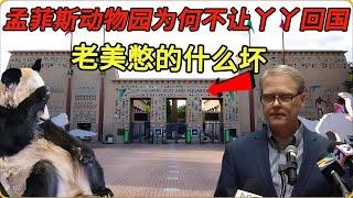 “丫丫”為何不能提前回國，孟菲斯動物園所作所為，有什么目的？ #神秘老樹 #案件 #探案 #懸案 #懸疑